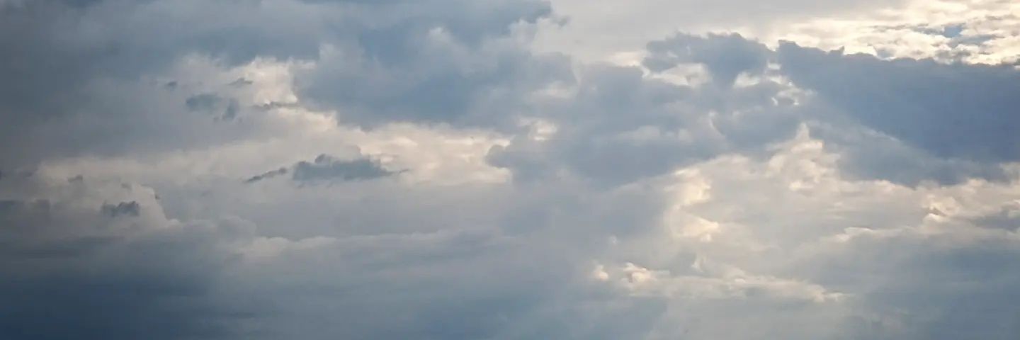 christiiecat's profile banner image