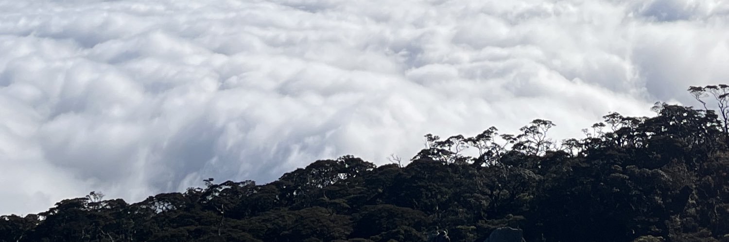 helanaday's profile banner image