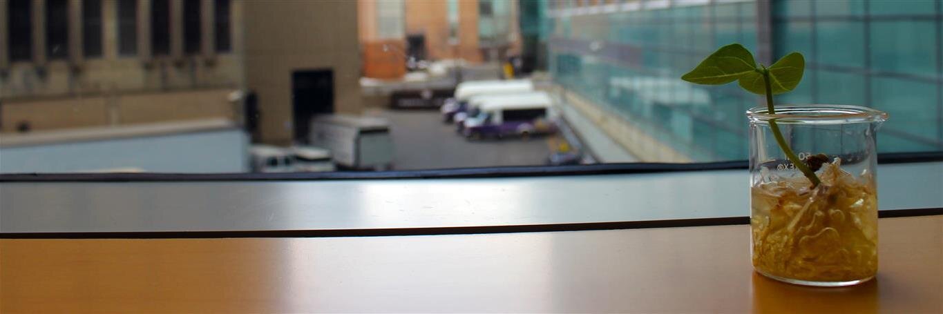 JGFermart's profile banner image