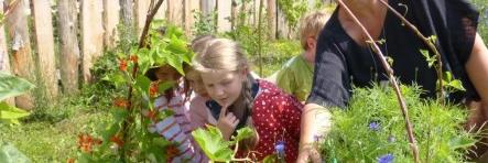 KinderSinGarten's profile banner image