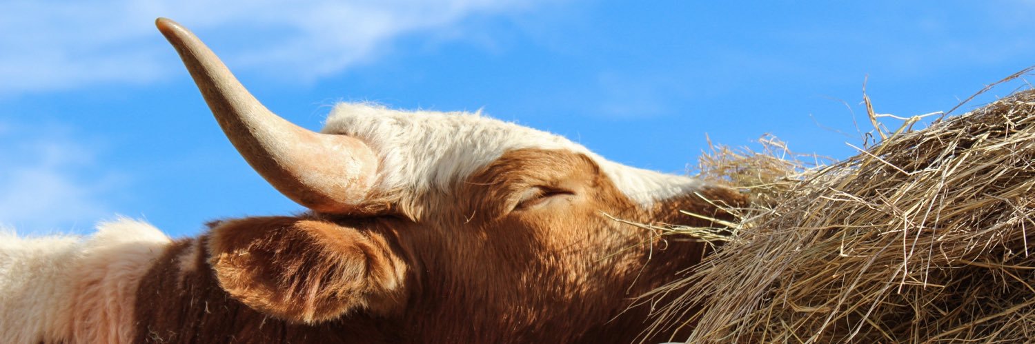 JBrennaAnderson's profile banner image