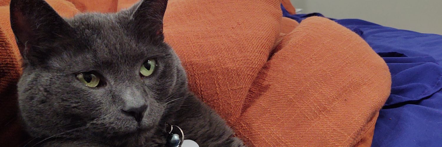 Jilly1231's profile banner image