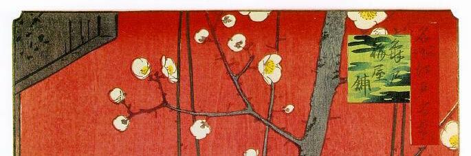 Ballestemar's profile banner image