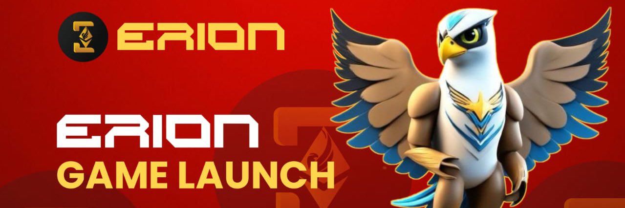 ERION banner