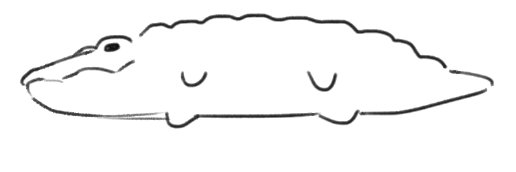 Kyro banner
