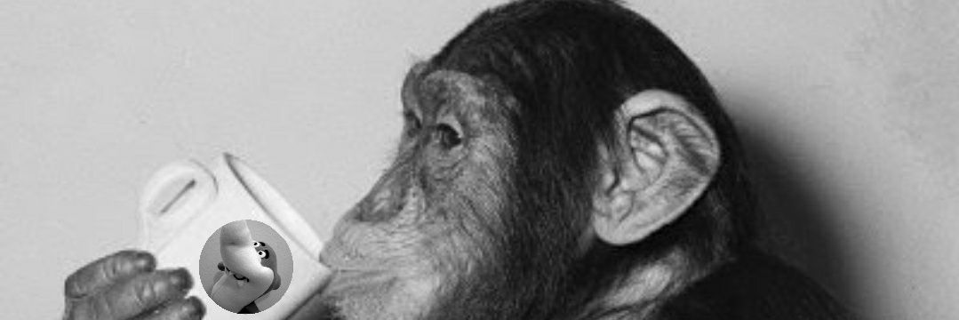Conroy_SeaCow's profile banner image