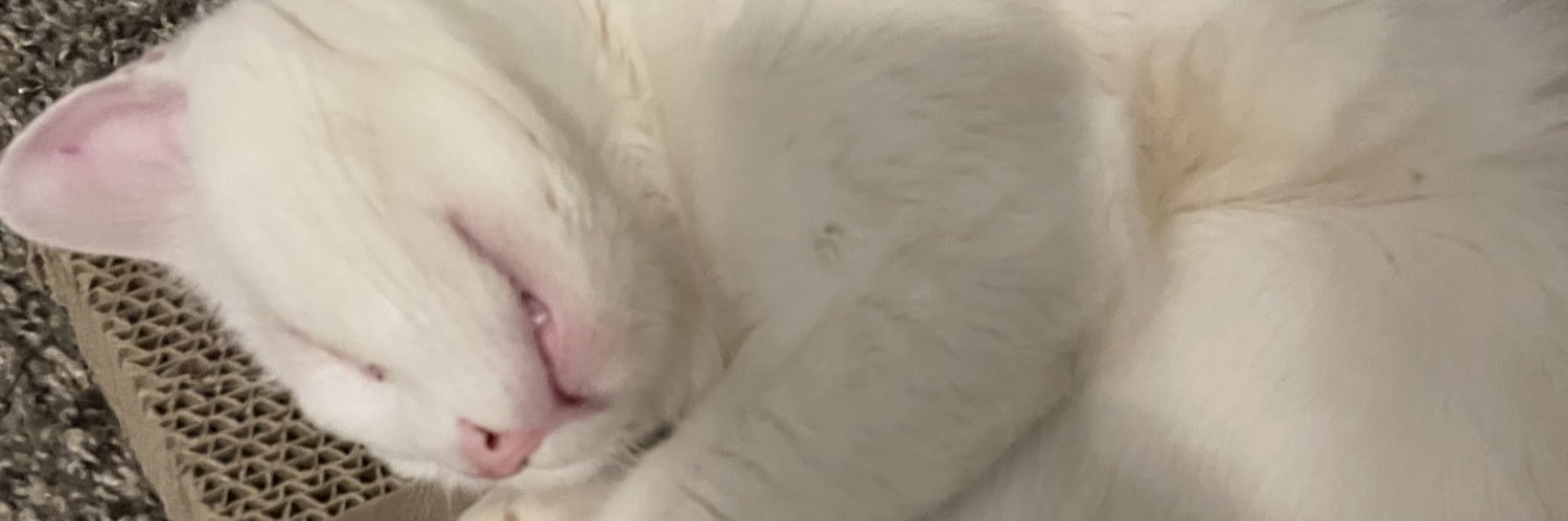 NachosdaDog's profile banner image