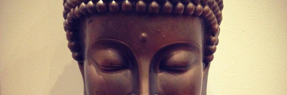 monkey_buddha's profile banner image