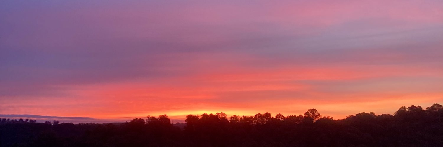 𝑴𝒊𝒄𝒉𝒆𝒍 𝑷𝒓𝒐𝒑𝒐𝒔 🇫🇷🇪🇺 🇮🇱 banner