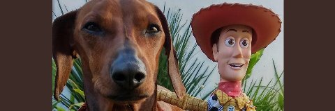LilyMateo2's profile banner image