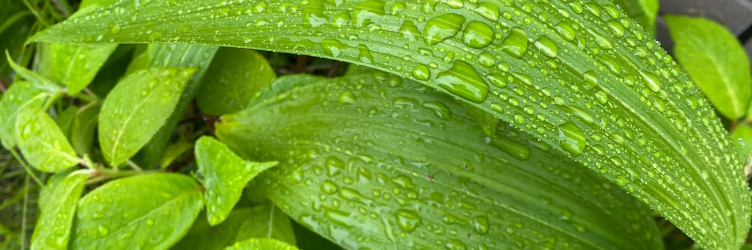 Subtit_le's profile banner image