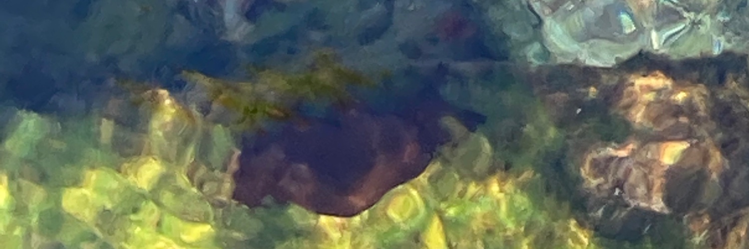 karen soldatić banner