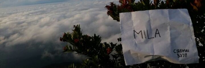 millanurrani's profile banner image