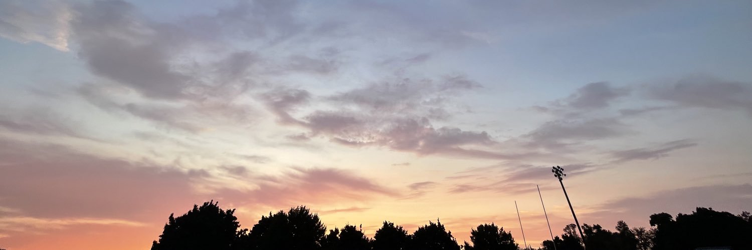 MsCDeNully's profile banner image