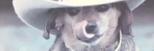 TayHoustoun's profile banner image