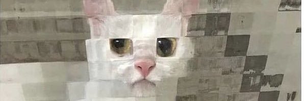 Raptuure2's profile banner image