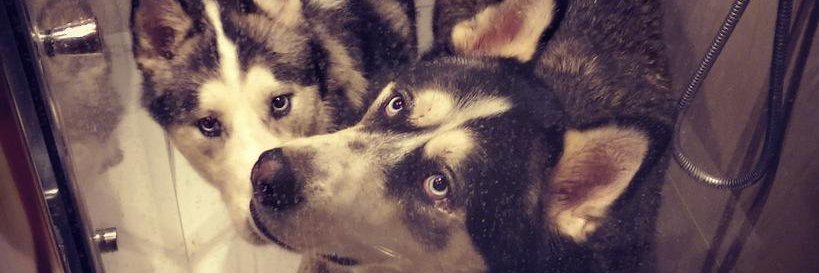 Tania_writes's profile banner image
