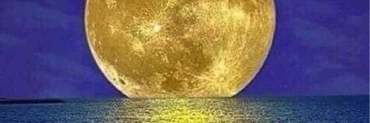 masoodkhalid201's profile banner image
