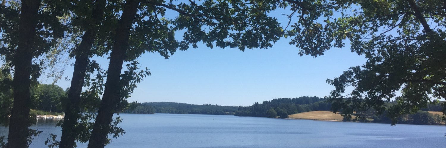 paularidd's profile banner image