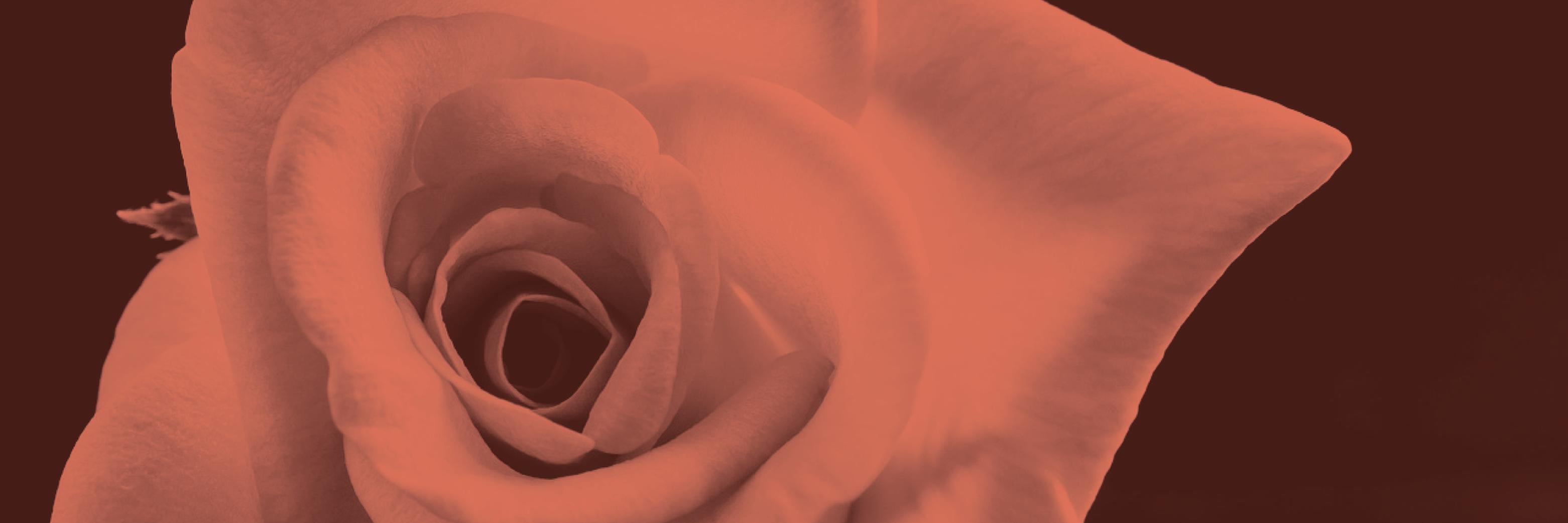 WutheringQuotes's profile banner image