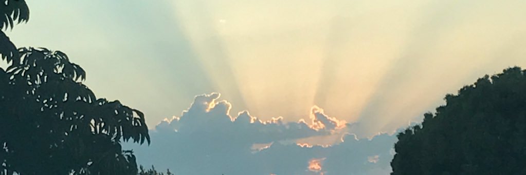 torisskickass's profile banner image