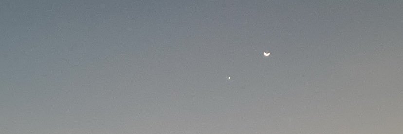 selvananda's profile banner image