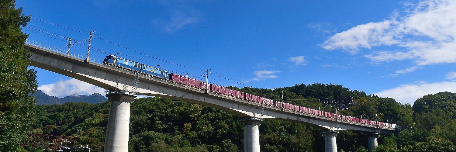 ブル banner