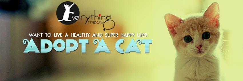 IndiaMEOWS's profile banner image