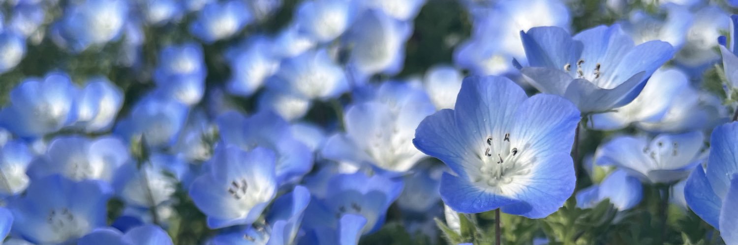 ka_ppa115's profile banner image
