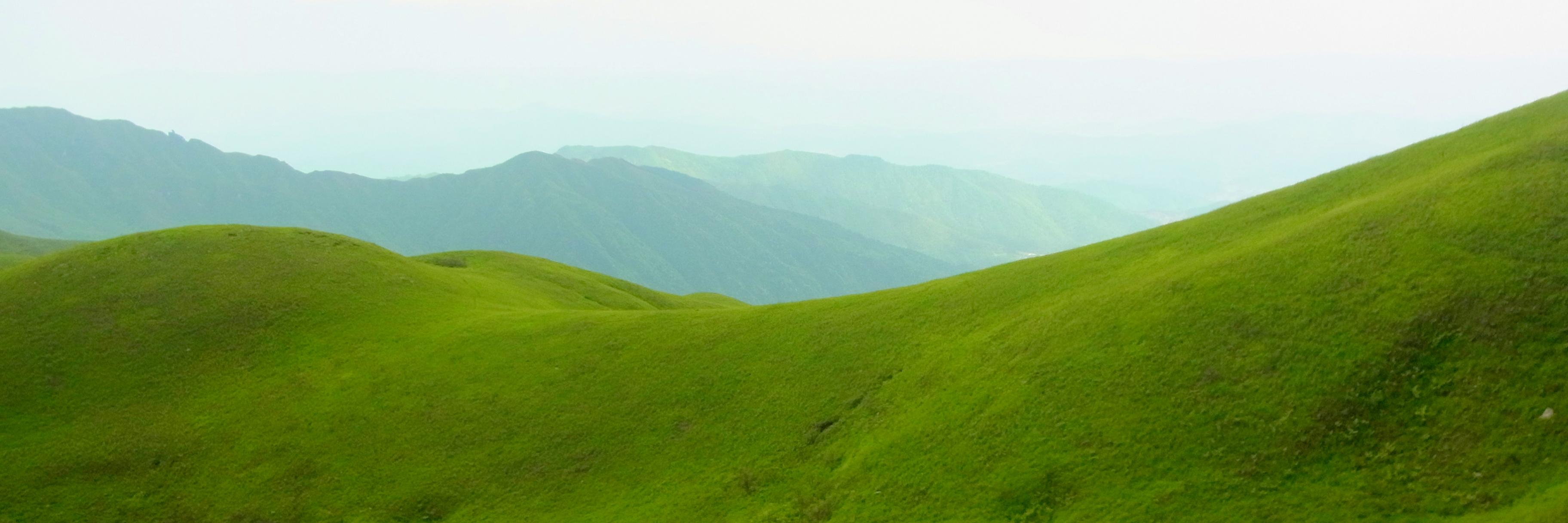 linn_2014's profile banner image