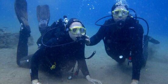 ✨ Ellen Breen ✨ banner