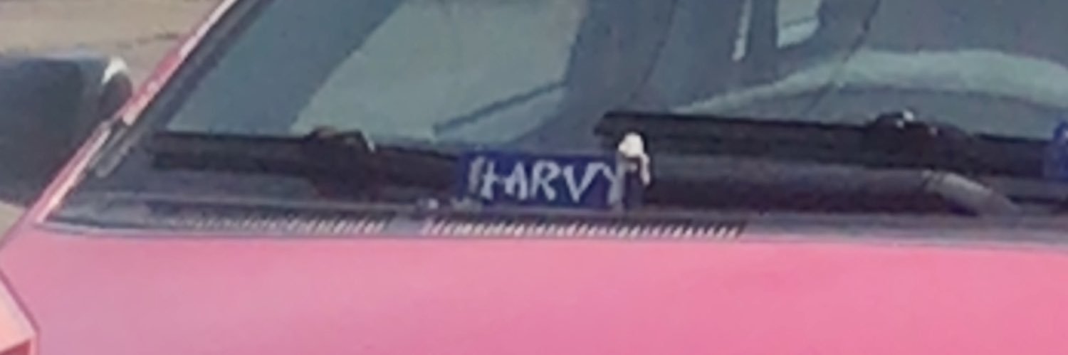 HarvyNabatar's profile banner image