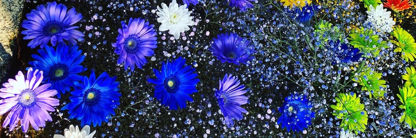 0220_junn's profile banner image