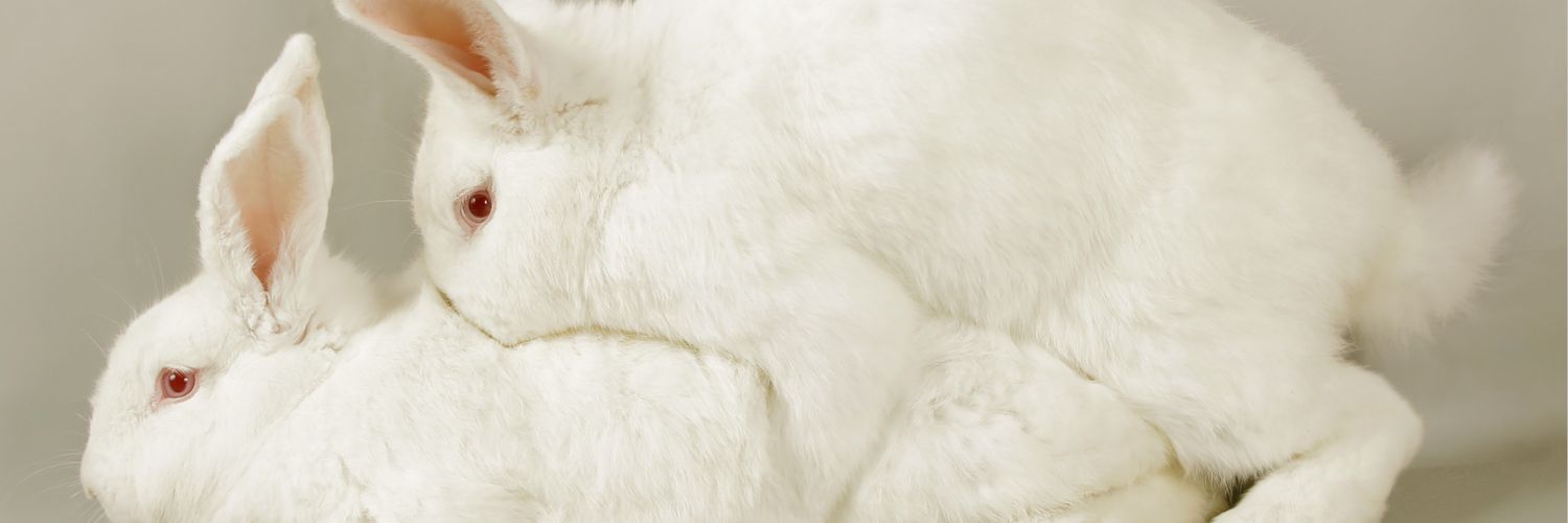anomicsoul's profile banner image