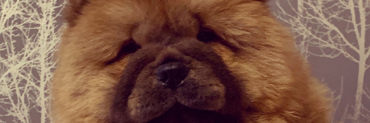 ShuckGemma's profile banner image