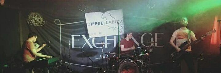 umbrellabirdbee's profile banner image