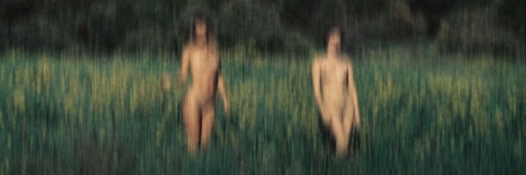 michelizando's profile banner image