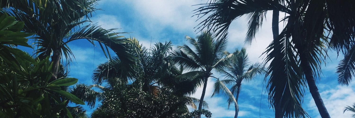 sarah_werb's profile banner image
