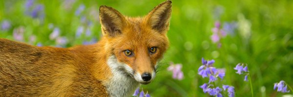 mjmaher4 Profile Banner