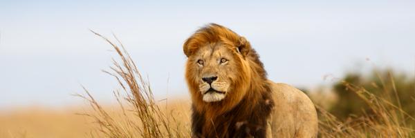 KenyanEmbassyEs Profile Banner