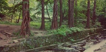 yolandsy's profile banner image
