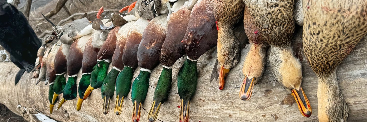 Hunter Vincent banner