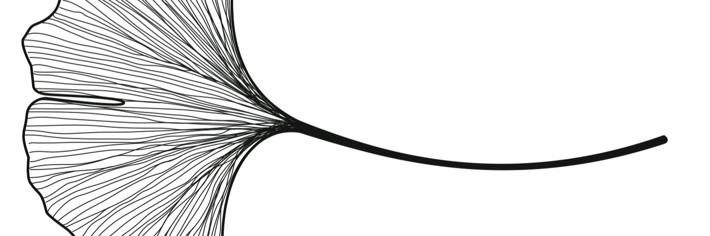 herailouros's profile banner image