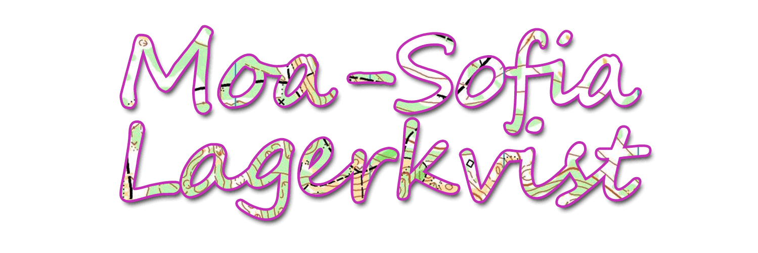 MSLkvist's profile banner image