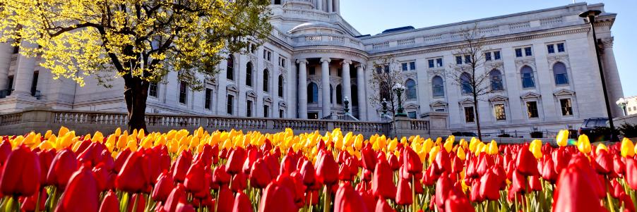 Rep. David Steffen banner