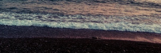 V. banner