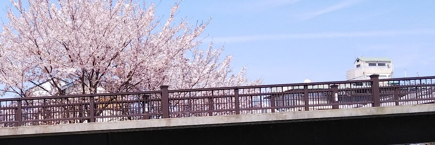 sui_900's profile banner image
