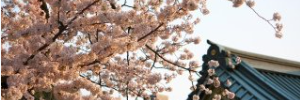 ウンちゃん banner