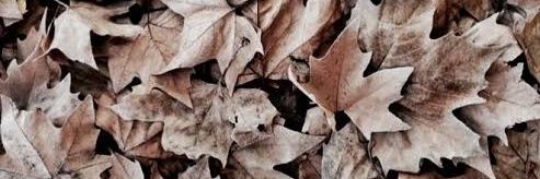opikhof's profile banner image