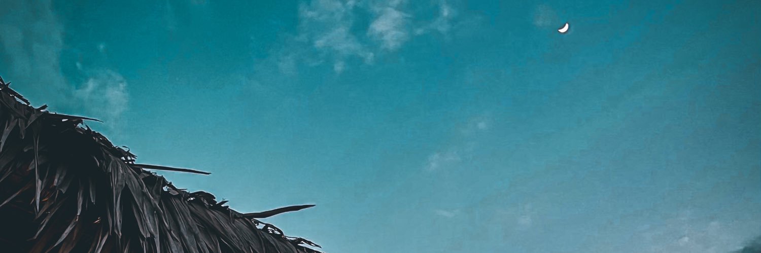 eelfower13's profile banner image